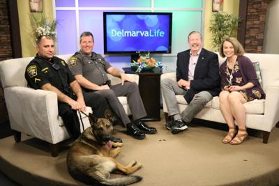 What’s Happening Today – April 18, 2016