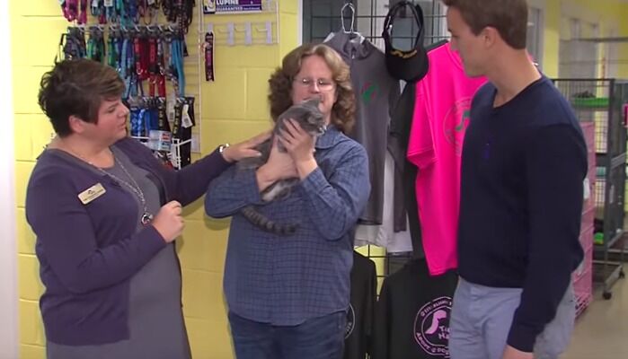 Pet Connect   Friday  Nov. 13  2015   YouTube