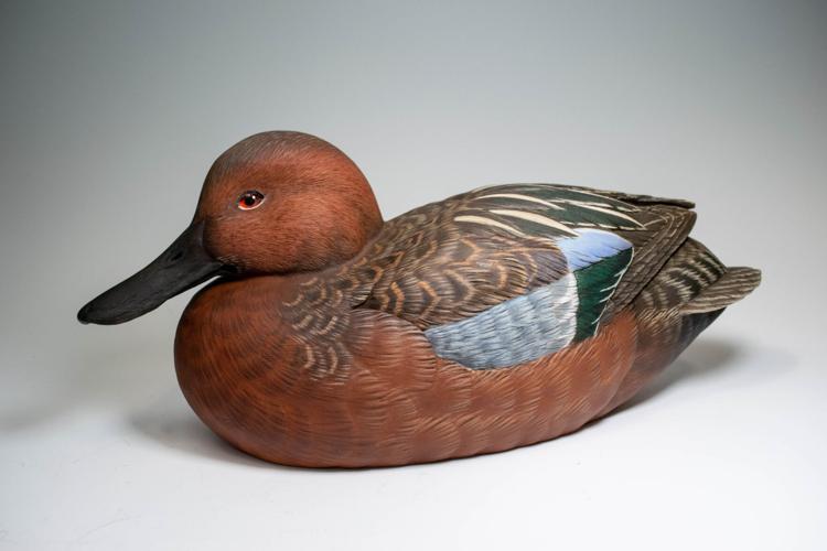 2021 WWC Advanced Decorative Lifesize Floating Best in Division Cinnamon Teal Drake by Richard Clark of Shelter Island NY