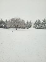 Mandy Bouton – Mardela Springs