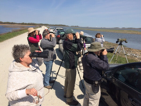 4c1e8170-9957-4c73-a42d-fa53beba3f76