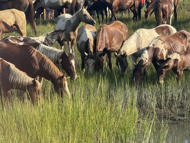 Photo Jul 30 2025, 8 26 58 AM.jpg