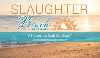 New Boardwalk In Slaughter Beach
