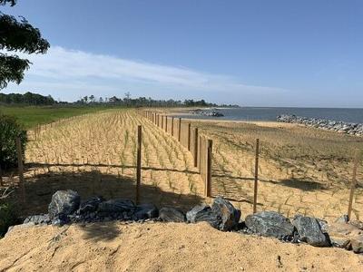 Deal Island shoreline