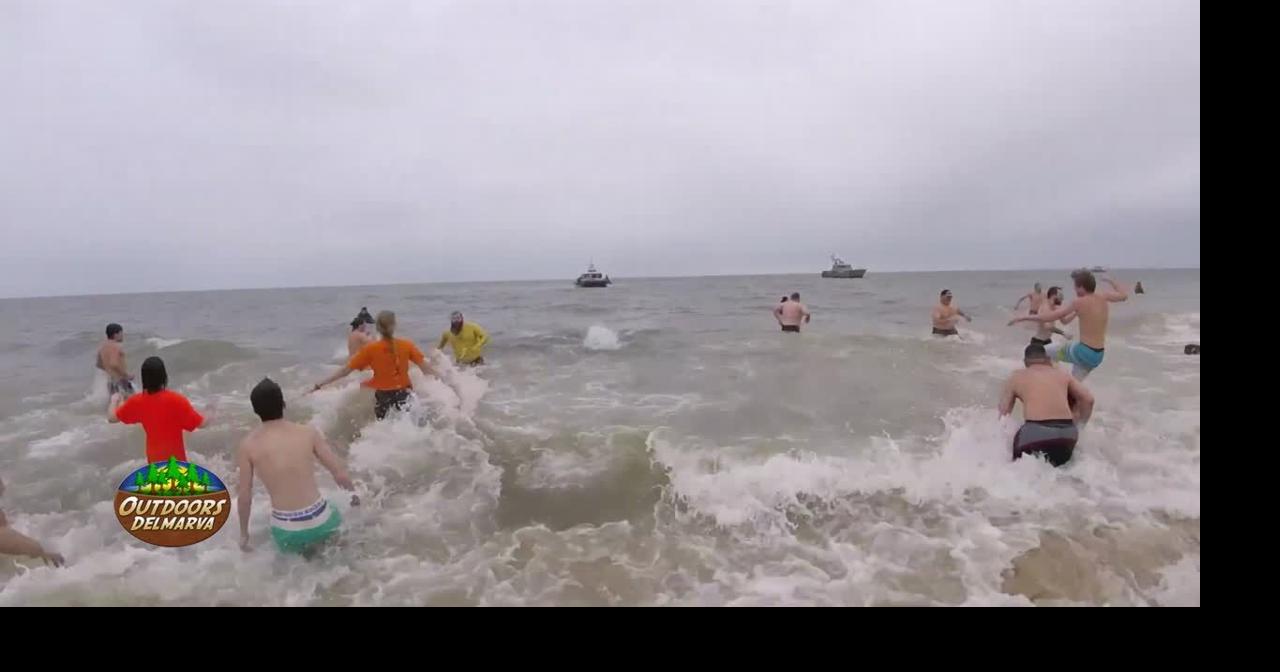 Previewing the 2023 Special Olympics Delaware Polar Bear Plunge