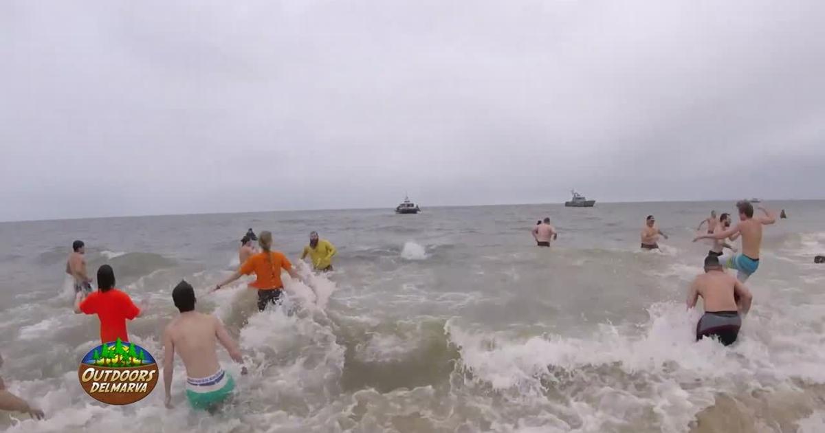 Previewing the 2025 Special Olympics Delaware Polar Bear Plunge