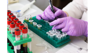 Can Blood Work Change in 6 Months? Health & Biomarker Shifts Explained