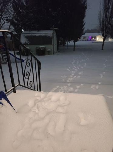 Karen Young Twiford Milford.jpg