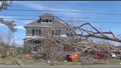 Tree Companies Rally For Families Impacted By Tornado
