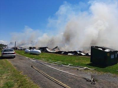 27,000 Chickens Perish in Crisfield Poultry House Fire