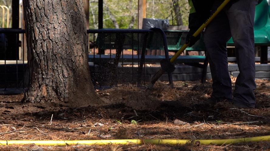 Aeration 2 Grove Park