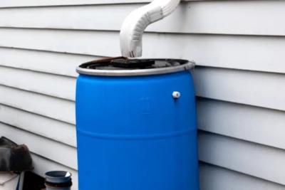 Can Rain Barrels Improve Austin Drip Irrigation?