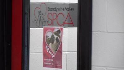 Cool Things to Do: Valentine's Edition