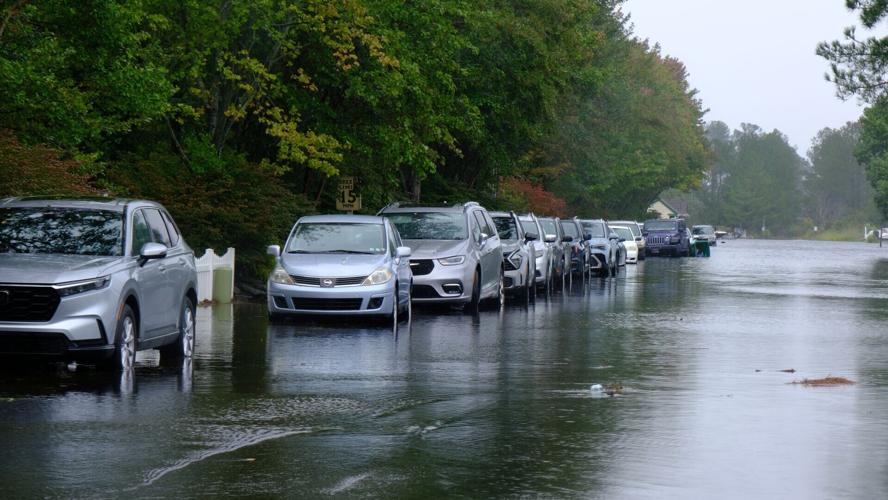 A row of parked cars with a row of trees on one side and a flooded street on the other.