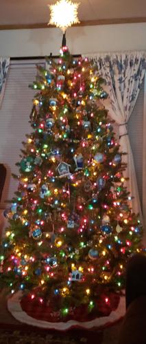 Jeff and Linda Holston's tree in Georgetown, Del.