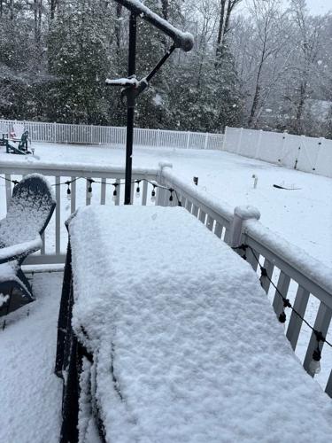 Kim Harrison Amick - Frankford, Del.