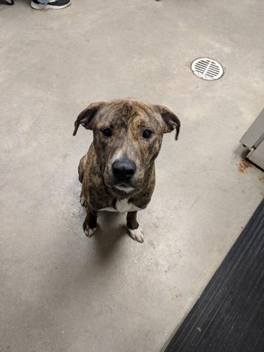 Maker:L,Date:2017-8-27,Ver:5,Lens:Kan03,Act:Kan02,E-ve