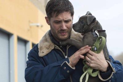 Movie Review - The Drop (2014)