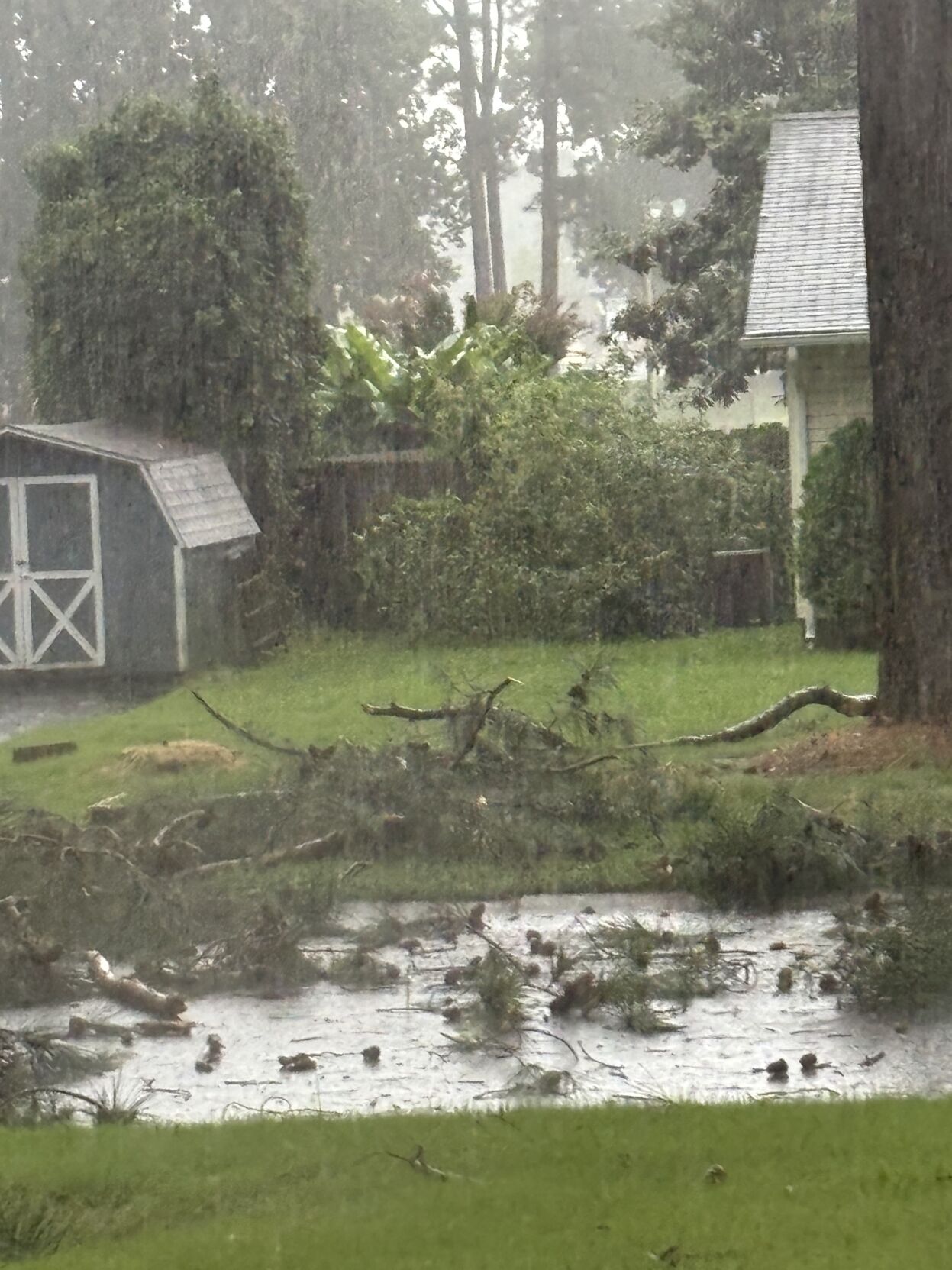 SBYstorm damage.jpeg
