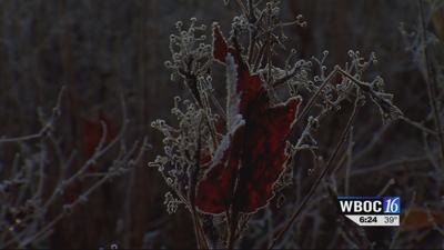 Travels With Charlie: “Some Mornings Are As Beautiful As Paradise Itself”