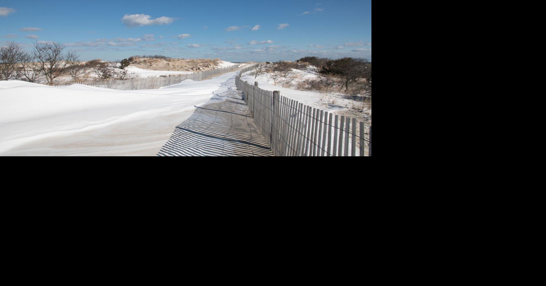 DNREC reminds public not to sled on dunes ahead of winter storm