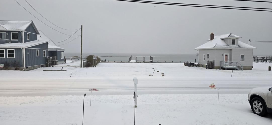 Deanna Bredbenner - Chincoteague.jpg