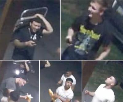 koi suspects