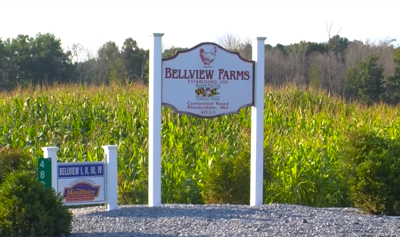 Bellview Farms