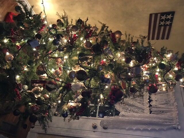 Chris-Al-Bush-in-Bridgeville