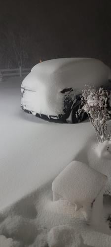 Pamela Chamberlain - Seaford, Del.