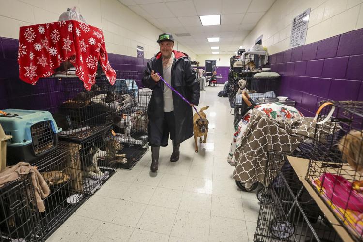 Hurricane Pets-What to Know