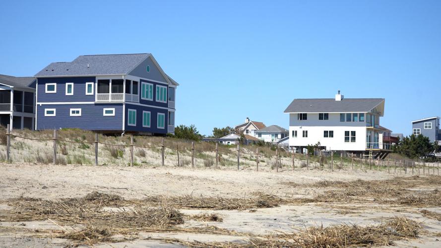 Broadkill Beach Dune April 2026 3