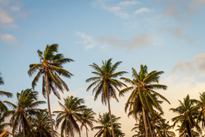 Americans Drive Record Demand for Second Citizenship in the Caribbean in 2026