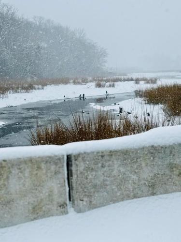 Brandi Cornwell Milford.jpg