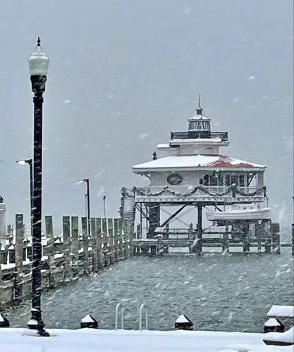 Catherine Gaddy Cambridge.jpg