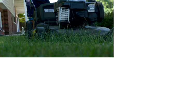 Maryland PIRG Raises Environmental Concerns of Gas-Powered Lawn Care Equipment - Vimarsana News