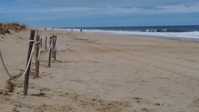 Dewey Beach Trashcans Might Be Migrating To The Dunes