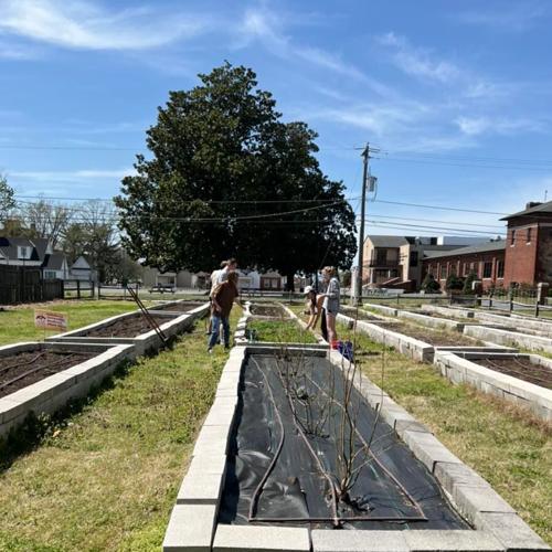 Camden Community Garden