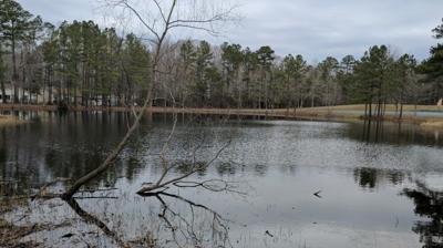 Bainbridge Park