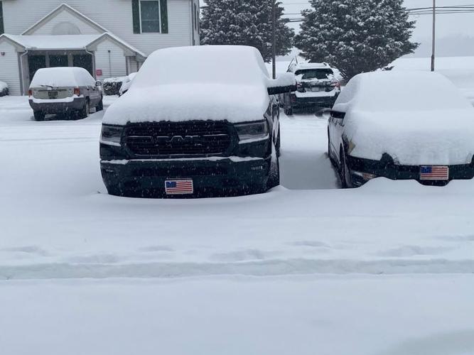 Colleen Frazier Milford.jpg