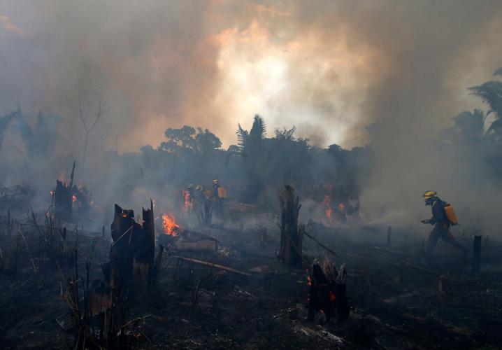 Brazil Amazon Deforestation Wildfires