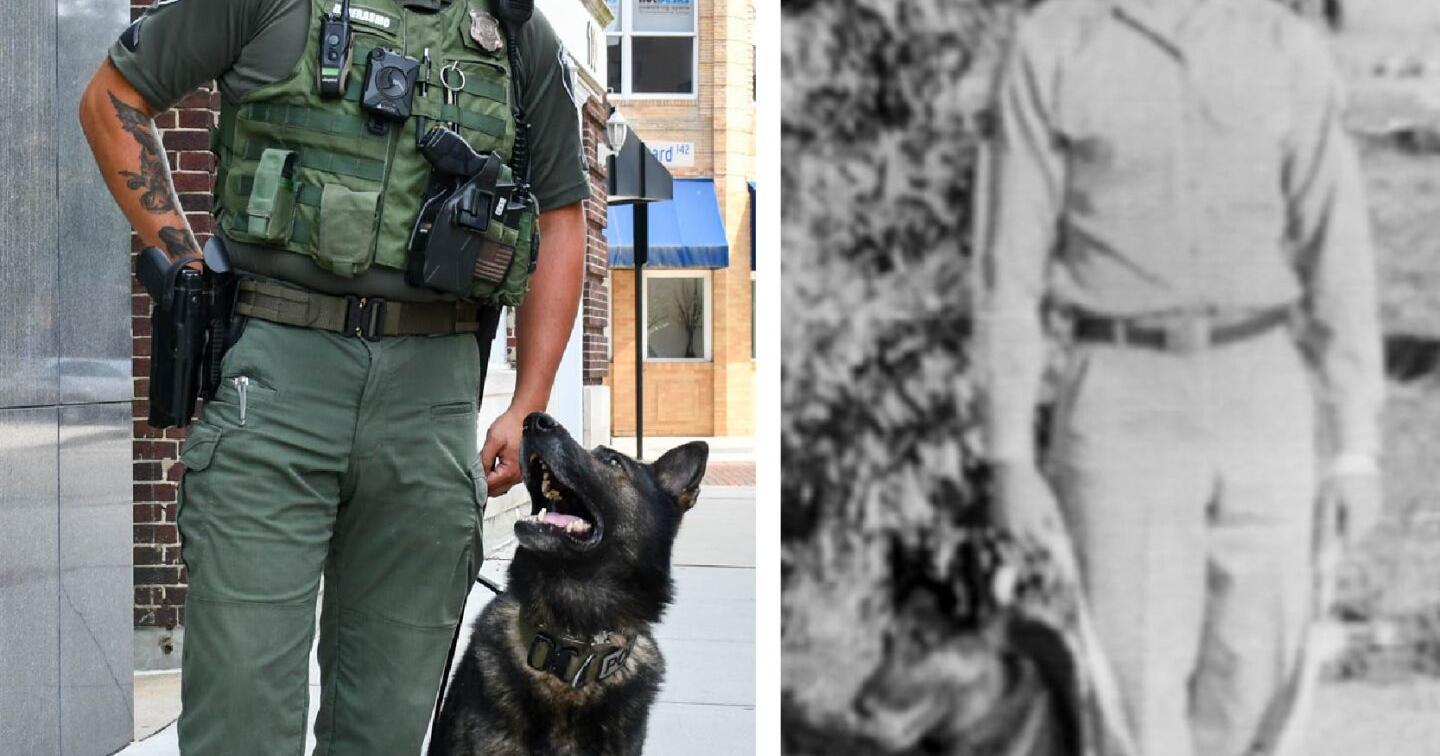 New Addition to the Salisbury Police Department K9 Unit - Vimarsana News