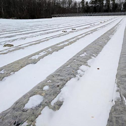 15977631_10155098243299728_5002804745993622805_n