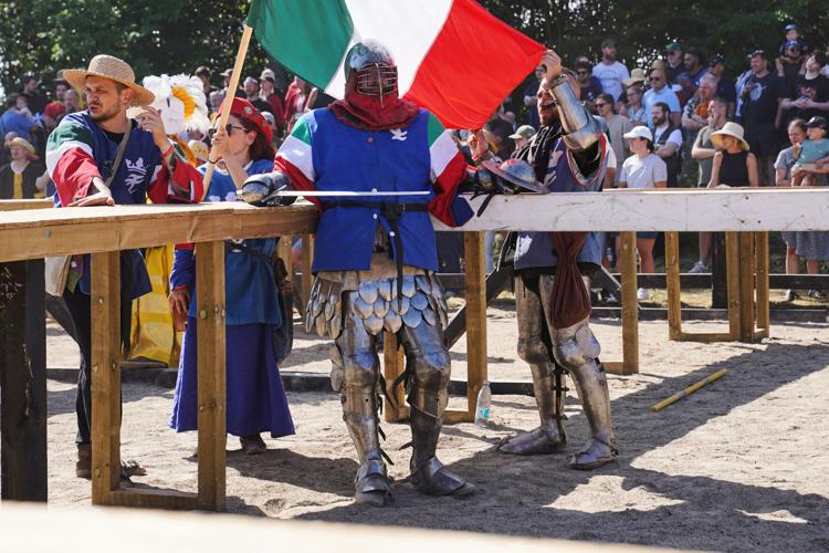 Denmark Medieval Combat