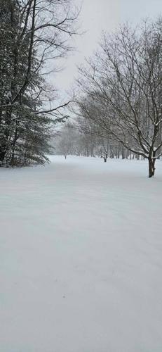 Debera Smith Dover.jpg