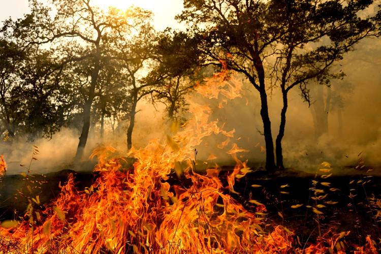 Photos show destruction from wildfires in Greece as blazes take hold in Europe and parts of the US