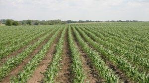 Thirteen Farms Added to Del. Preservation Program