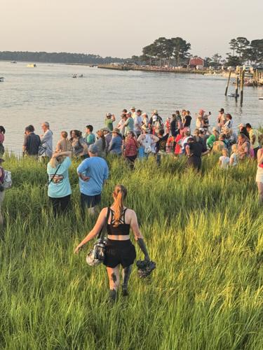 Photo Jul 30 2025, 6 39 25 AM.jpg