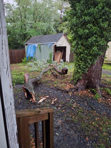 LAUREL BRANCH FALL 0516.jpg