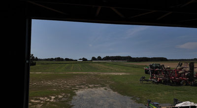 Mason Lane's Produce sits on a fifth generation family farm in Queen Anne's County, Maryland.
